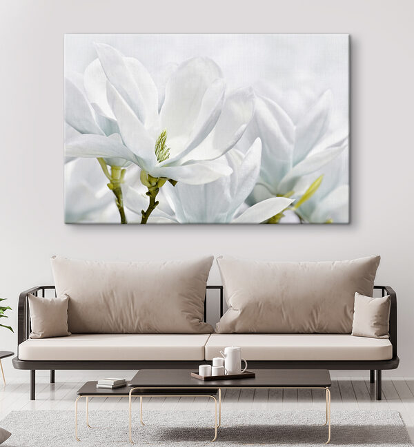Gros plan sur des fleurs blanches Gros plan sur des fleurs blanches