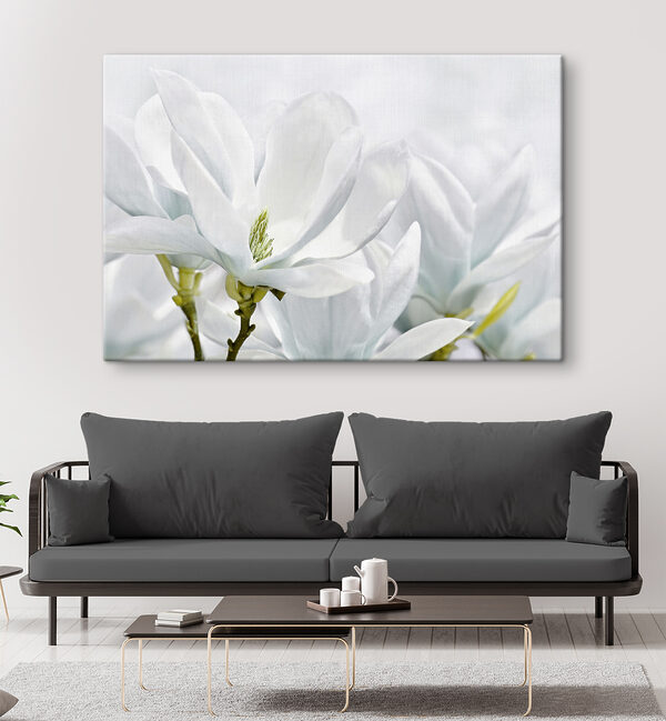 Gros plan sur des fleurs blanches Gros plan sur des fleurs blanches
