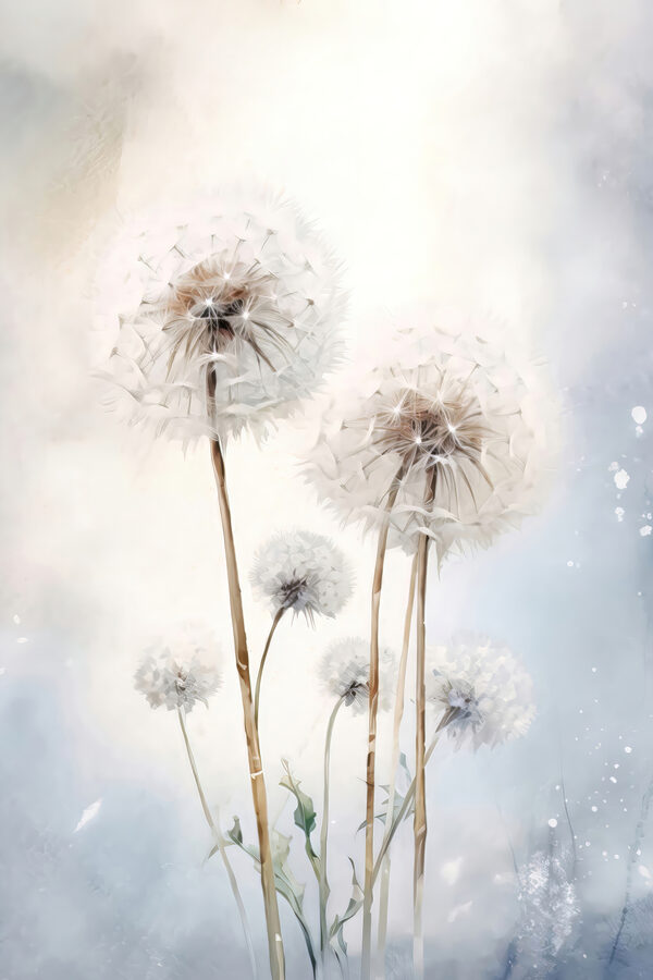 A group of dandelions in a field