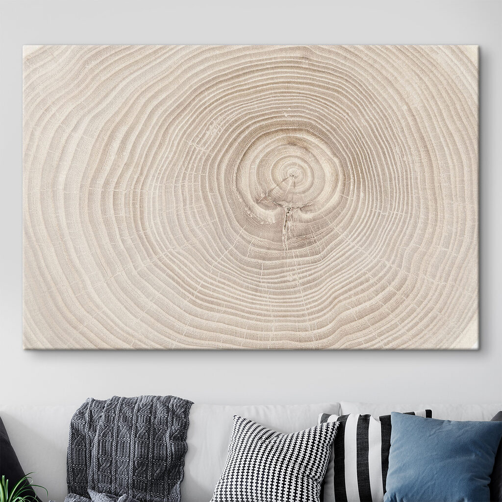 A close up of a tree trunk