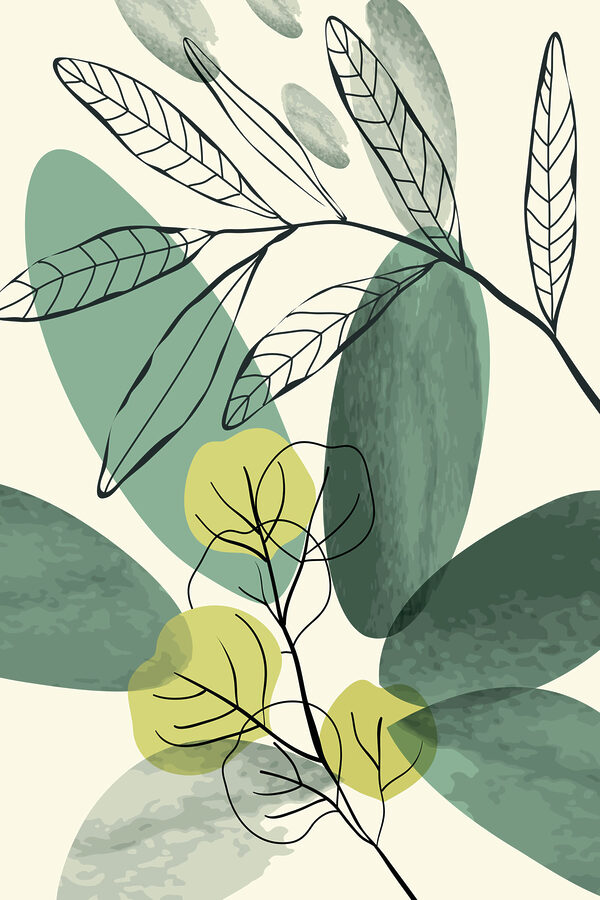 Gros plan sur une plante Gros plan sur une plante