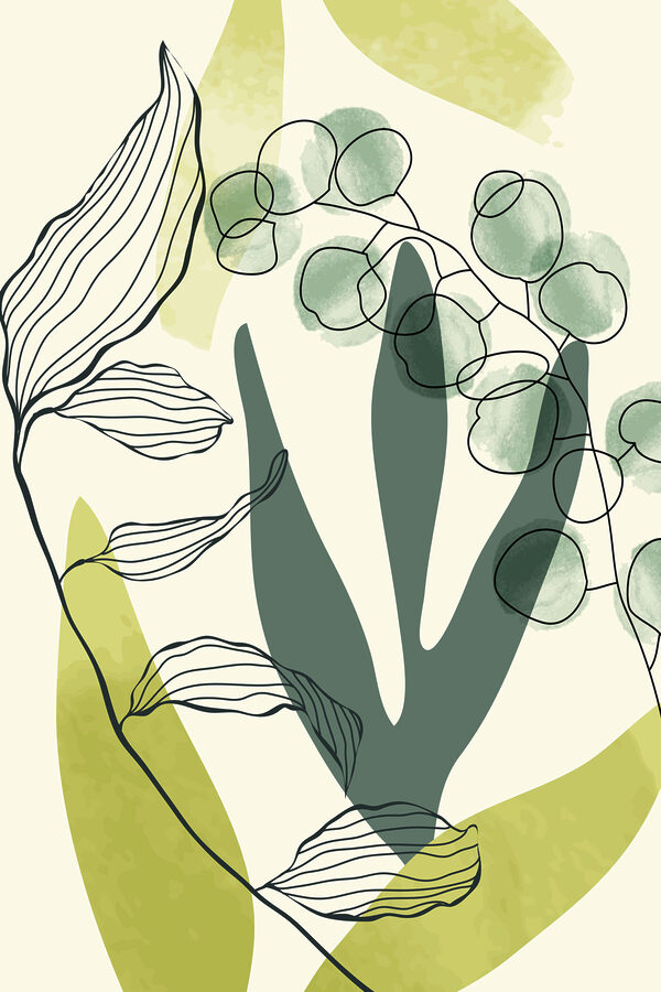 Dessin d'une plante Dessin d'une plante