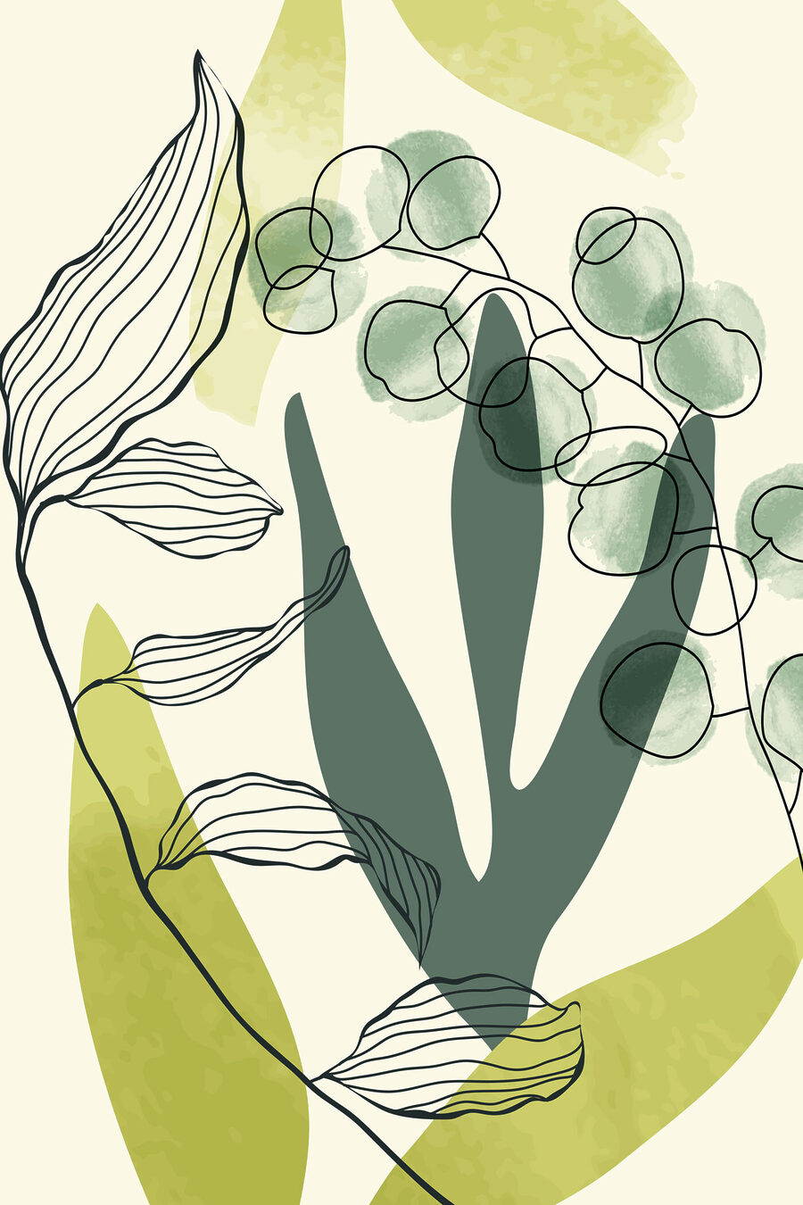 Dessin d'une plante