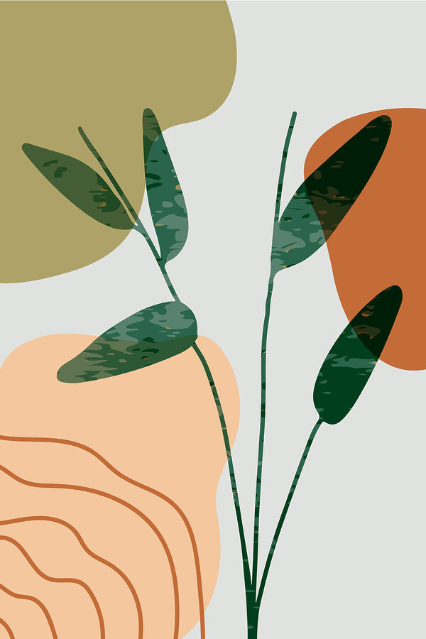 Une feuille verte et orange Une feuille verte et orange
