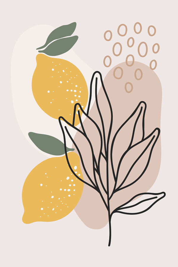 Un citron et des feuilles dessinés sur un fond blanc Un citron et des feuilles dessinés sur un fond blanc