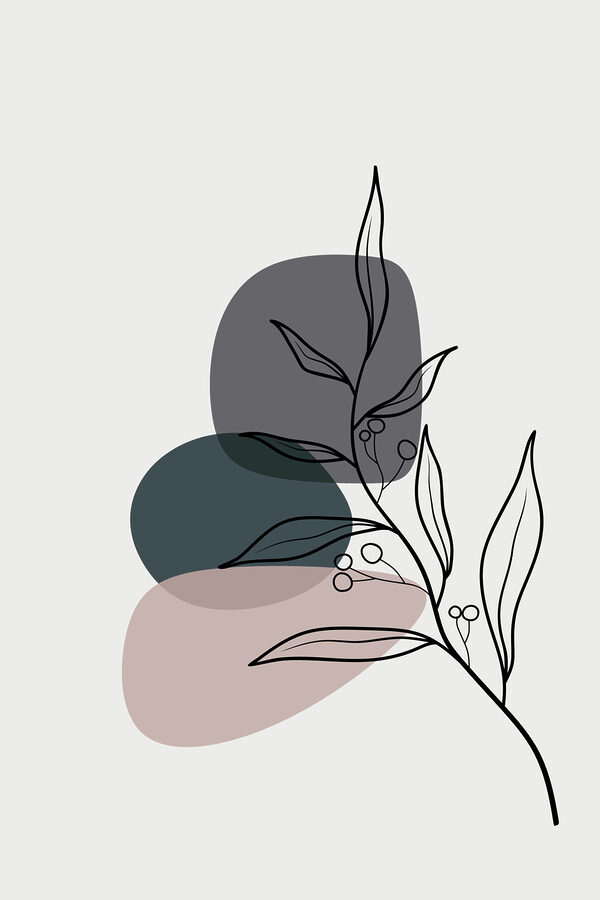 A drawing of a plant A drawing of a plant