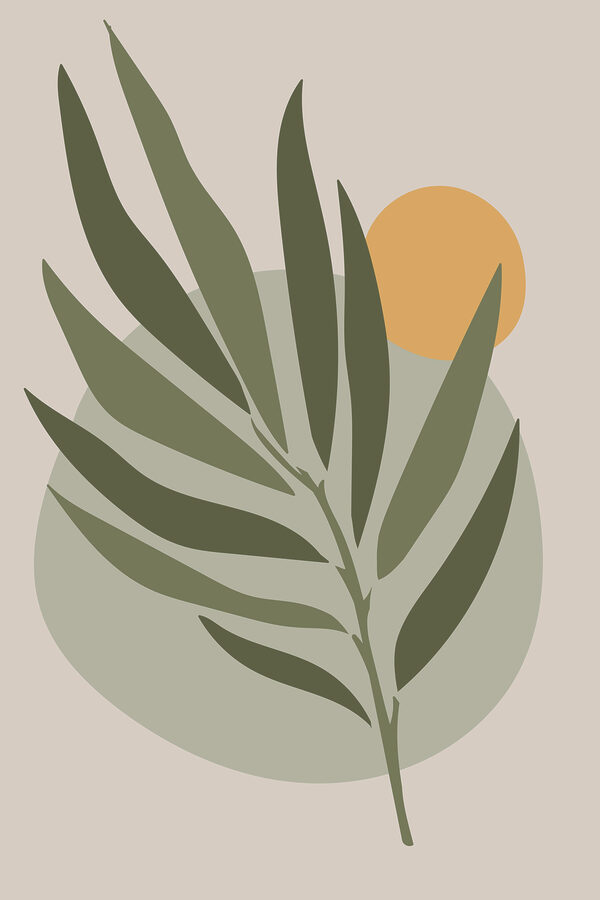 Une feuille verte avec un cercle jaune Une feuille verte avec un cercle jaune