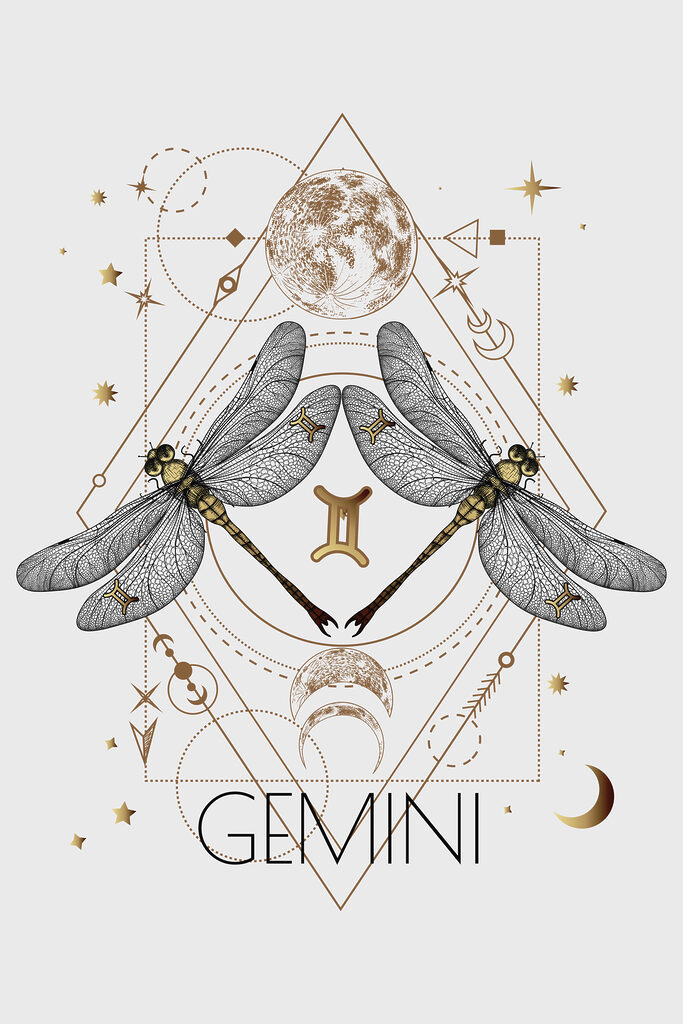 A dragonfly with a moon and stars