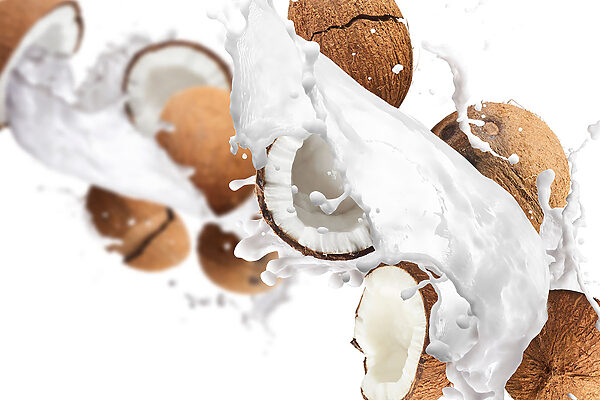 Noix de coco et éclaboussures de lait Noix de coco et éclaboussures de lait