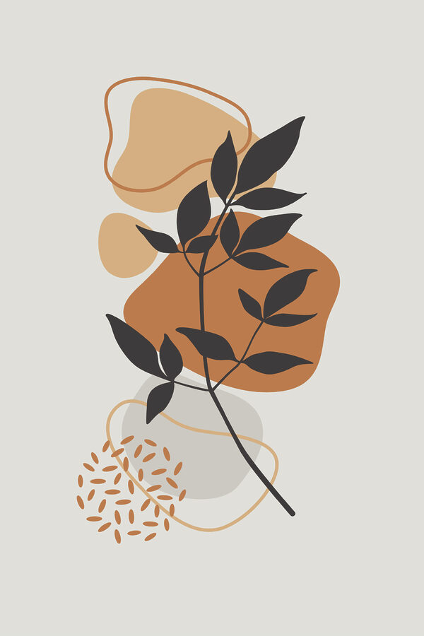 Une plante avec des feuilles et des formes brunes Une plante avec des feuilles et des formes brunes