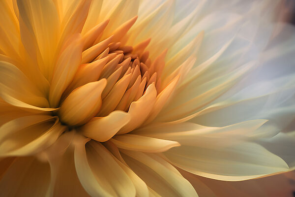 Gros plan sur une fleur Gros plan sur une fleur