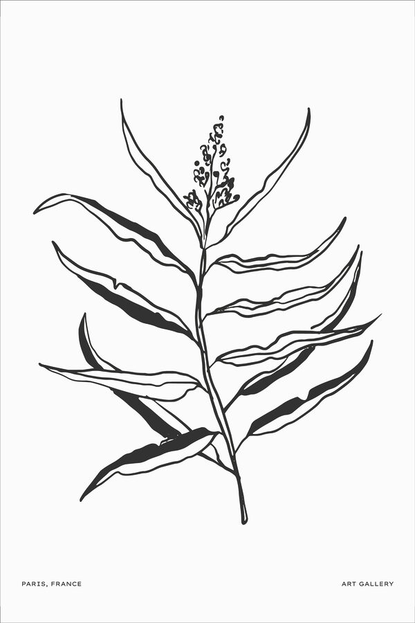 A black and white drawing of a plant A black and white drawing of a plant
