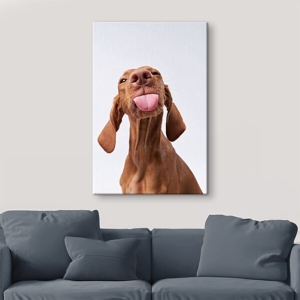 Un chien qui tire la langue s37751pig96 600x600 - Un chien qui tire la langue