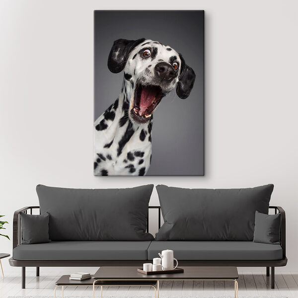 Un chien avec la bouche ouverte Un chien avec la bouche ouverte