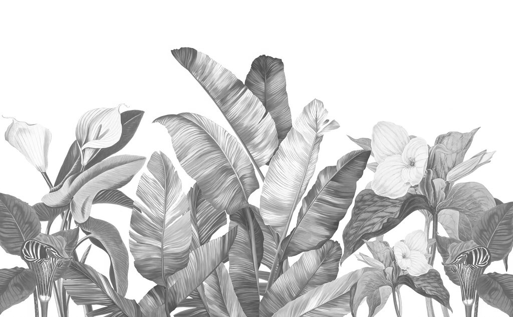 Un groupe de feuilles tropicales Un groupe de feuilles tropicales