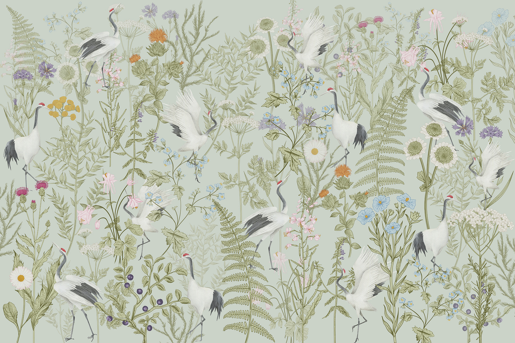 A wallpaper with birds and plants A wallpaper with birds and plants