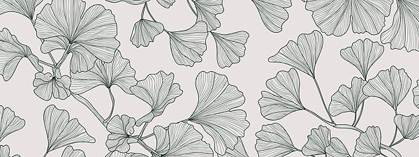 Gros plan sur les feuilles Gros plan sur les feuilles