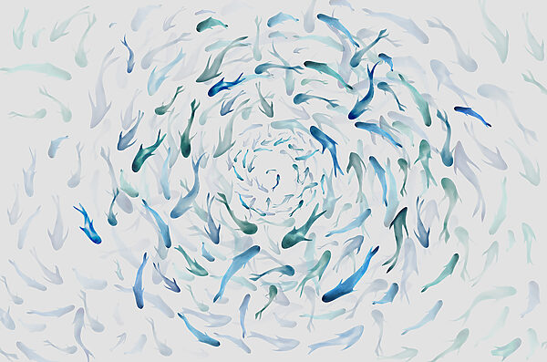 Un groupe de poissons nageant en spirale w00510p 600x397 - Un groupe de poissons nageant en spirale
