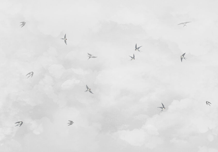 Un groupe d'oiseaux volant dans le ciel
