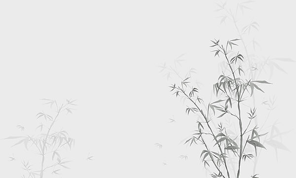 Une plante avec des feuilles w00546v1p 600x362 - Une plante avec des feuilles - tegory