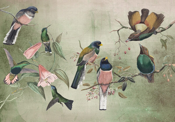 Groupe d'oiseaux sur une branche w00543p 600x420 - Groupe d'oiseaux sur une branche - tegory