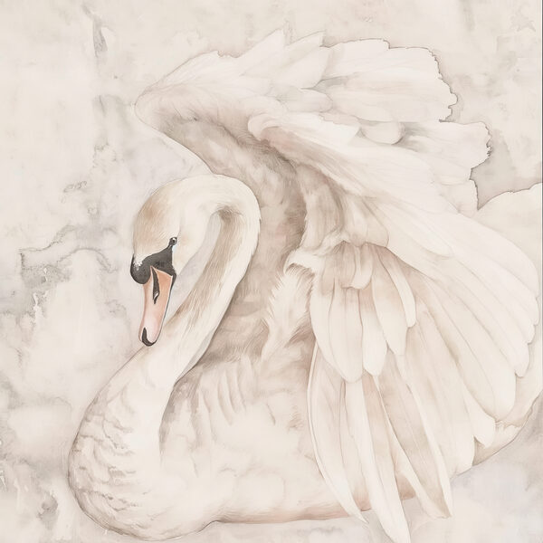 Un cygne blanc avec des ailes Un cygne blanc avec des ailes