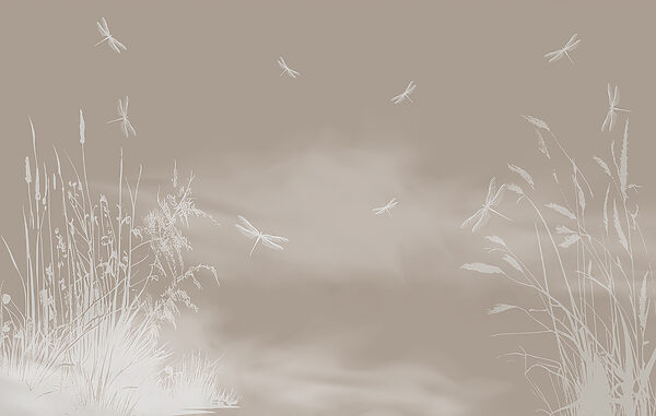 Une libellule volant dans le ciel Une libellule volant dans le ciel