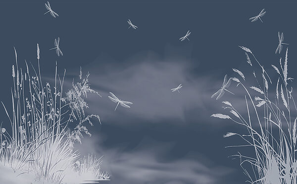 Libellules volant dans le ciel Libellules volant dans le ciel