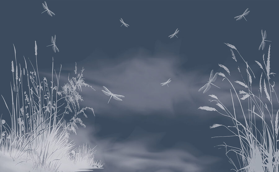 Libellules volant dans le ciel