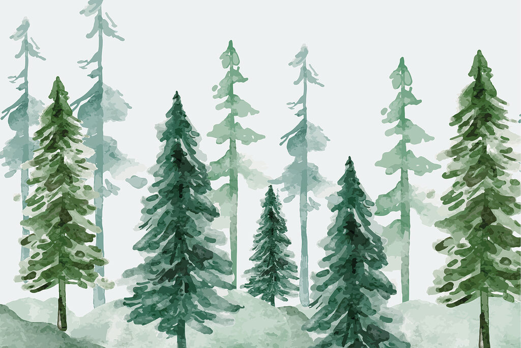Groupe d'arbres dans une forêt enneigée Groupe d'arbres dans une forêt enneigée