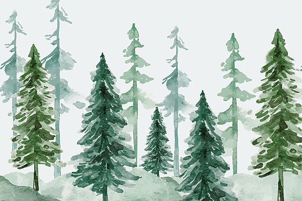 Groupe d'arbres dans une forêt enneigée Groupe d'arbres dans une forêt enneigée