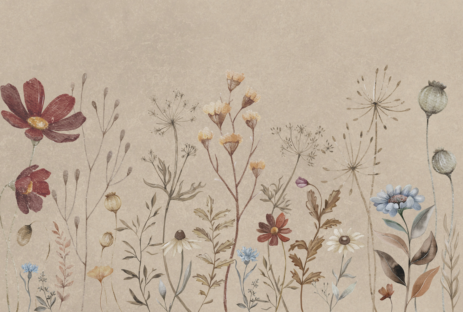 Gros plan sur les fleurs w00580p - Gros plan sur les fleurs - tegory