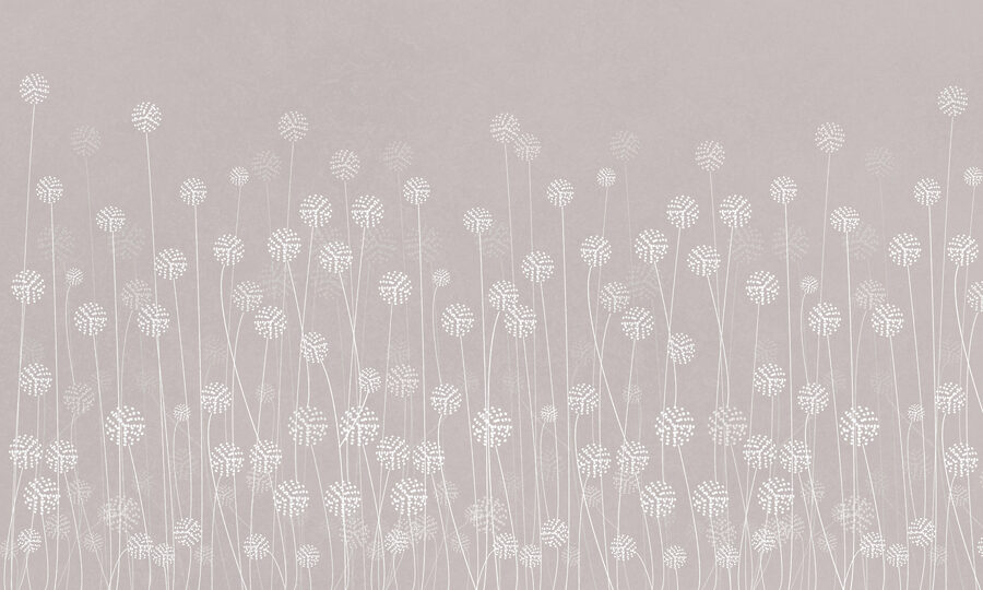 Fleurs blanches sur fond gris