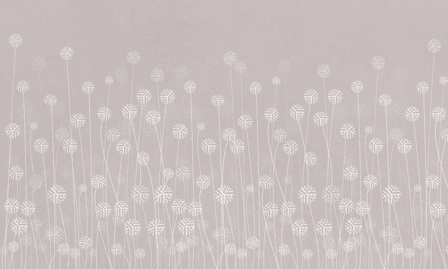 Fleurs blanches sur fond gris w00613v2p - Fleurs blanches sur fond gris - tegory