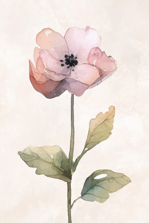 Une fleur rose avec des feuilles vertes Une fleur rose avec des feuilles vertes