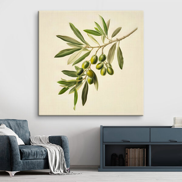 Un fruit vert sur une branche Un fruit vert sur une branche