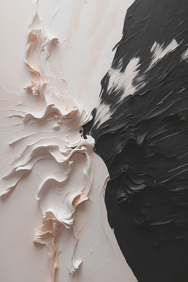 Une peinture noire et blanche Une peinture noire et blanche