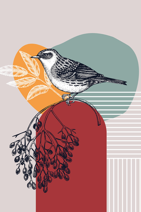Un oiseau sur une branche Un oiseau sur une branche