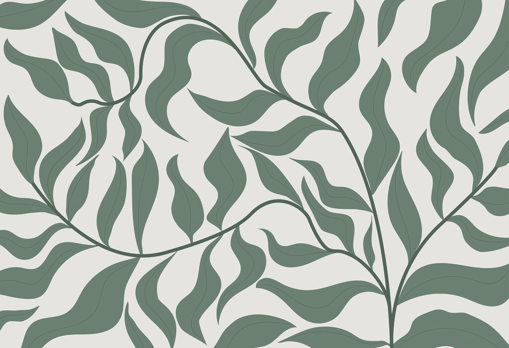 Feuilles vertes sur fond blanc Feuilles vertes sur fond blanc