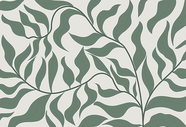 Feuilles vertes sur fond blanc Feuilles vertes sur fond blanc