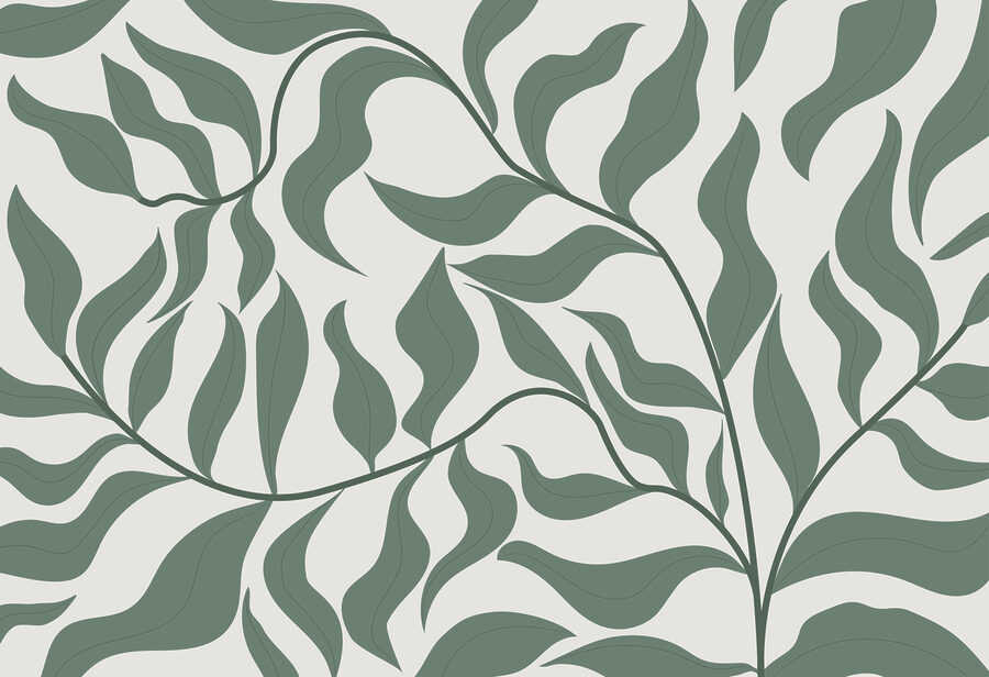 Feuilles vertes sur fond blanc