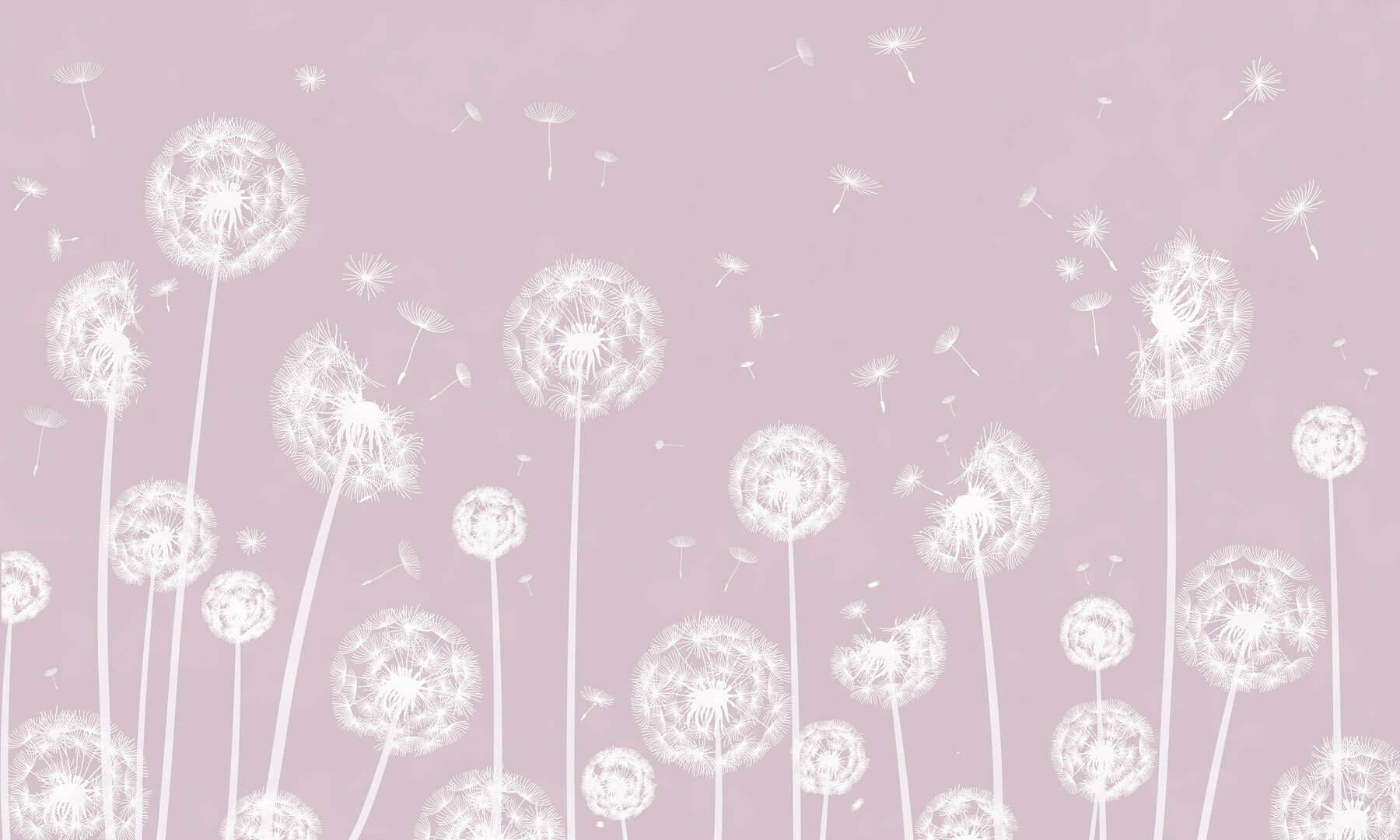 w00657v1p - Un pissenlit blanc volant dans l'air - tegory