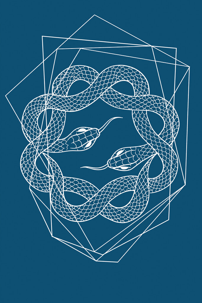 A white snake in a circle A white snake in a circle