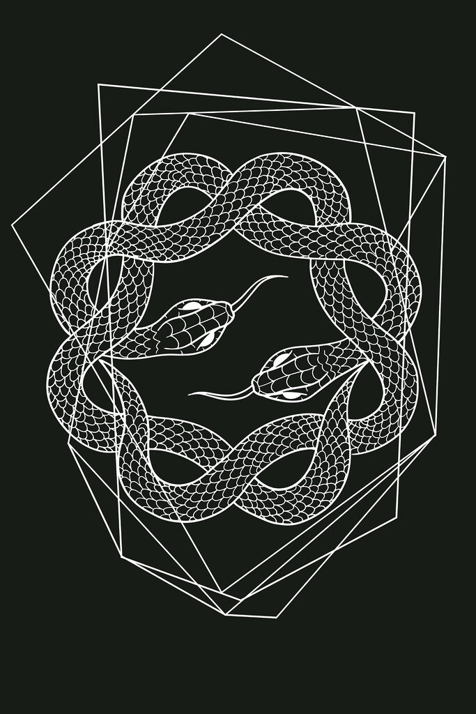 A white snake in a circle A white snake in a circle