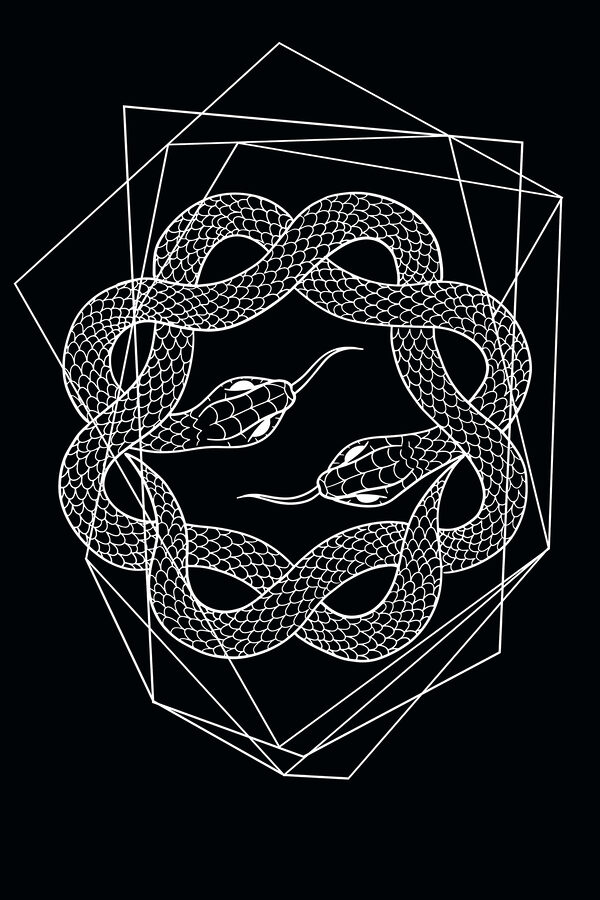 Un serpent blanc dans un cercle Un serpent blanc dans un cercle