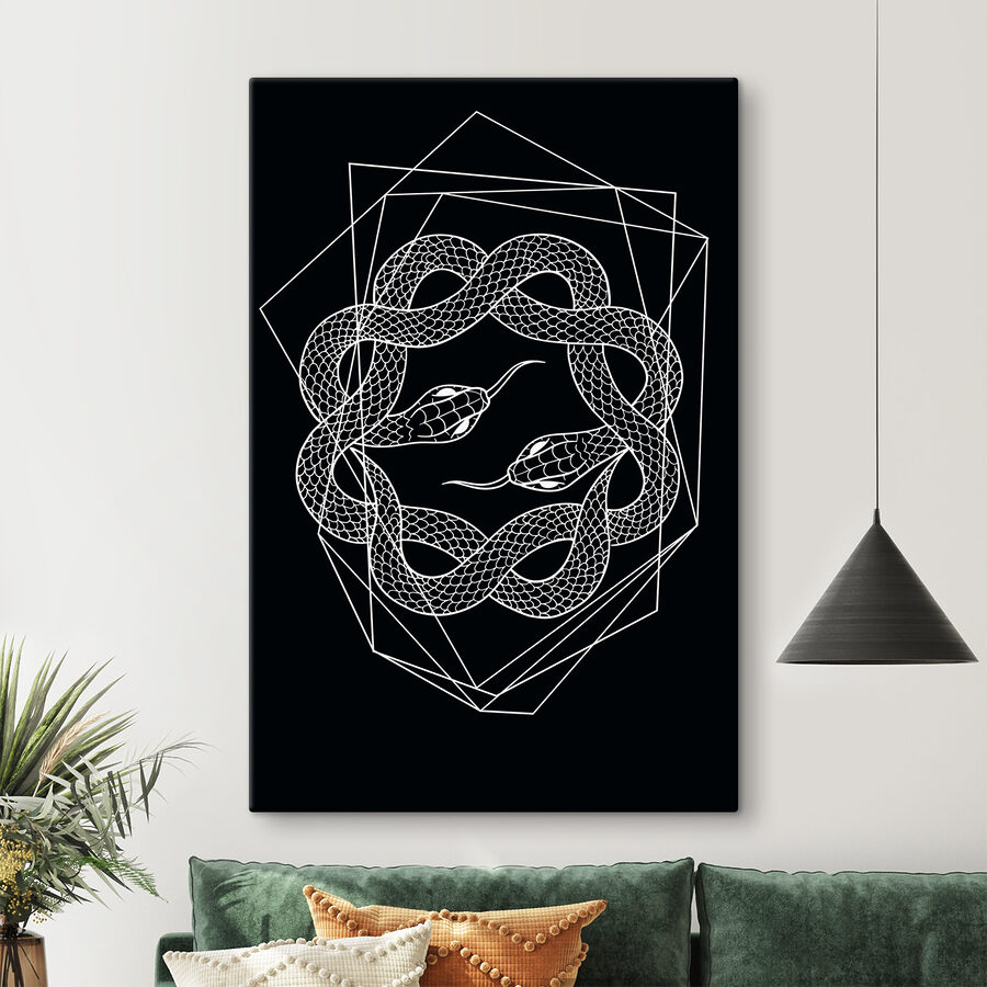 Un serpent blanc dans un cercle Un serpent blanc dans un cercle