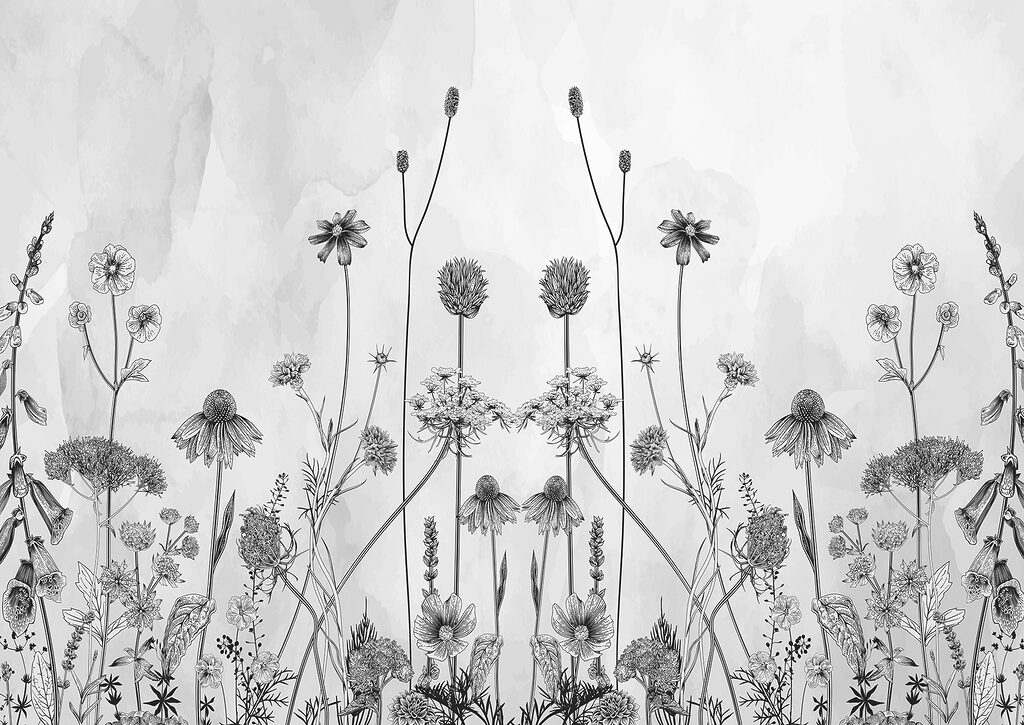 Un dessin de fleurs et de plantes Un dessin de fleurs et de plantes