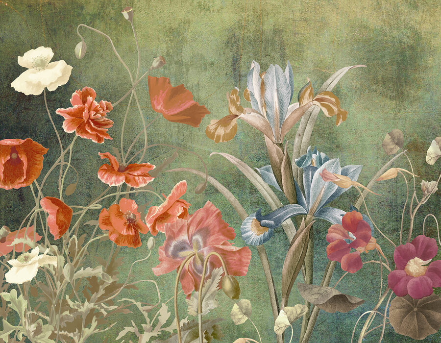 Gros plan sur les fleurs
