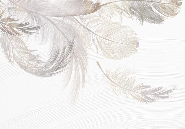 Un groupe de plumes blanches Un groupe de plumes blanches
