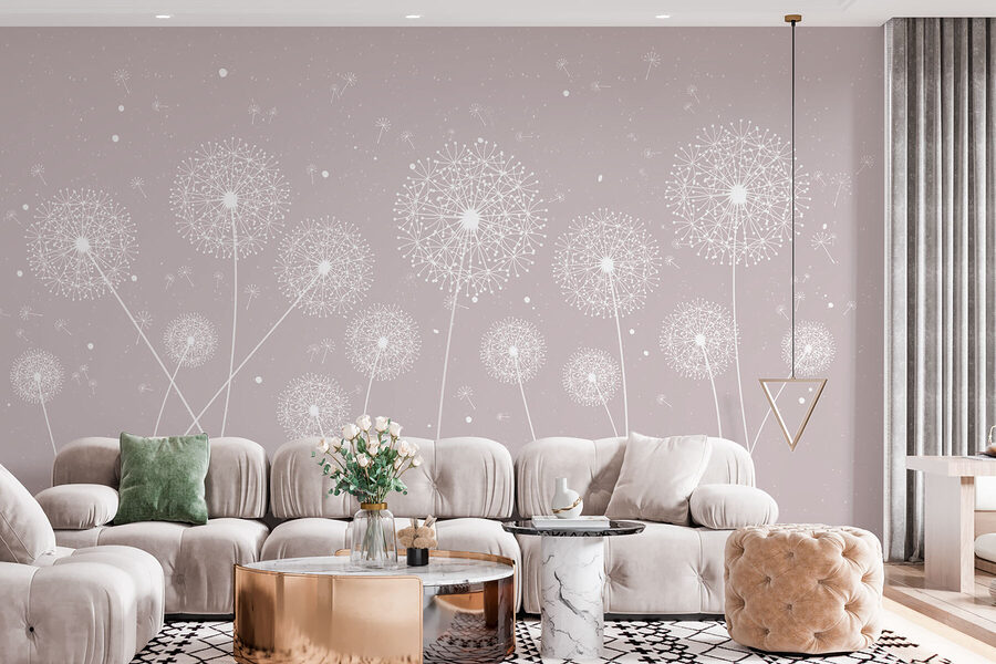 Pissenlits blancs sur fond gris